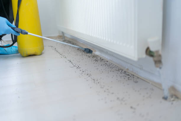 Best Affordable Pest Control Services  in Marvin, NC